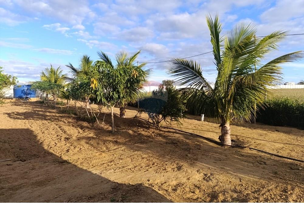 Studio - Venda - Vitória da Conquista , Bahia - F18.jpg - 580831019-6