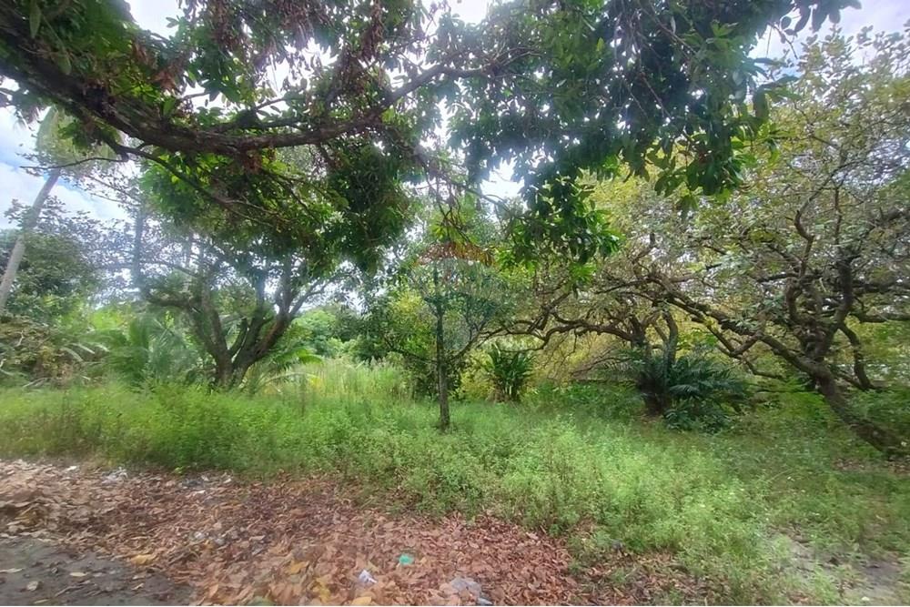 Terreno - Venda - Camaçari , Bahia - WhatsApp Image 2025-10-28 at 14.54.22 (1).jpeg - 580561053-77