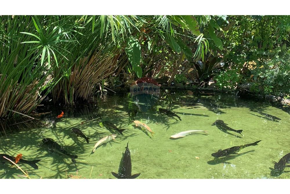 Apartamento - Venda - Salvador , Bahia - IMG_5971.jpg - 580761044-14