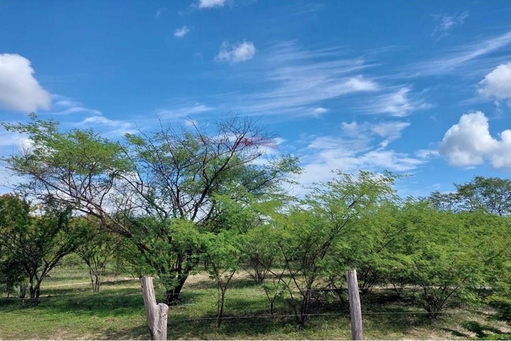 Chácara / Sítio / Fazenda - Venda - Ibotirama , Bahia - dc6e8cf4-d4f0-44be-8502-9c6a429b9630.jpg - 580831002-154