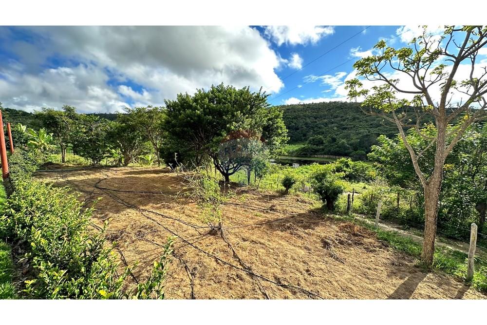 Chácara / Sítio / Fazenda - Venda - Jequié , Bahia - image00023-3.jpeg - 580731023-59