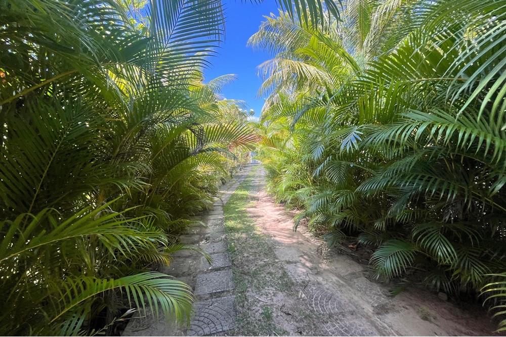 Chácara / Sítio / Fazenda - Venda - Camaçari , Bahia - WhatsApp Image 2025-11-18 at 17.19.26 (1).jpeg - 580491009-102