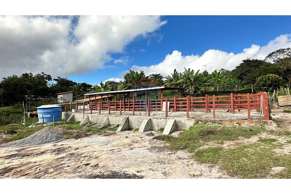 Chácara / Sítio / Fazenda - Venda - Jequié , Bahia - image00048.jpeg - 580731023-59