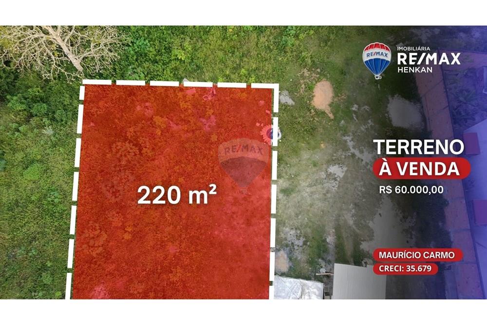 Terreno - Venda - Alagoinhas , Bahia - MARCAÇÃO DRONE - TERRENOS.jpg - 580701058-4