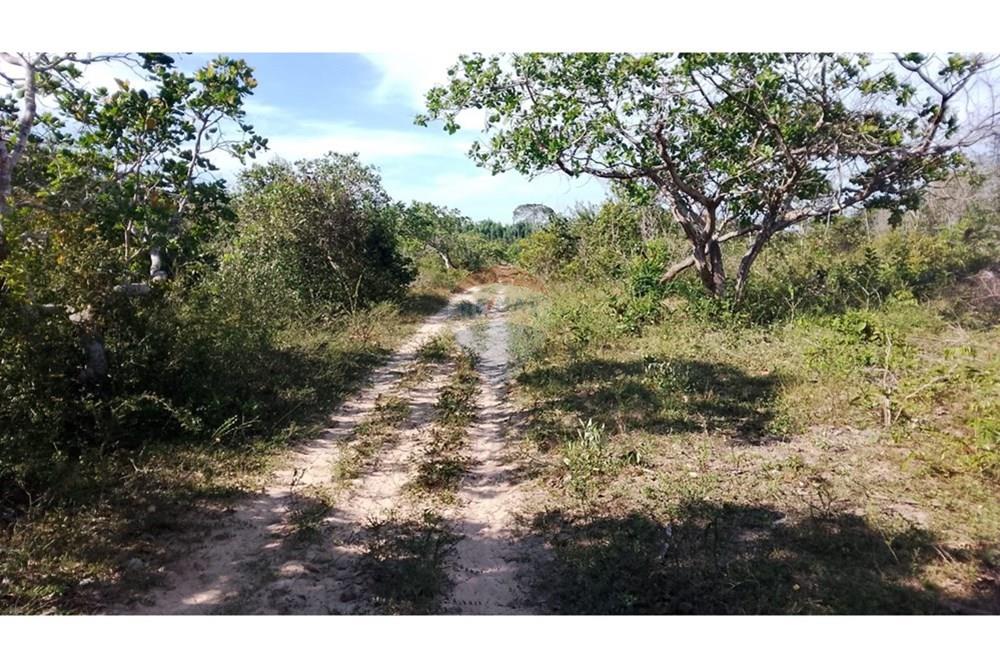 Chácara / Sítio / Fazenda - Venda - Alagoinhas , Bahia - WhatsApp Image 2025-11-09 at 19.23.27.jpeg - 580701044-55