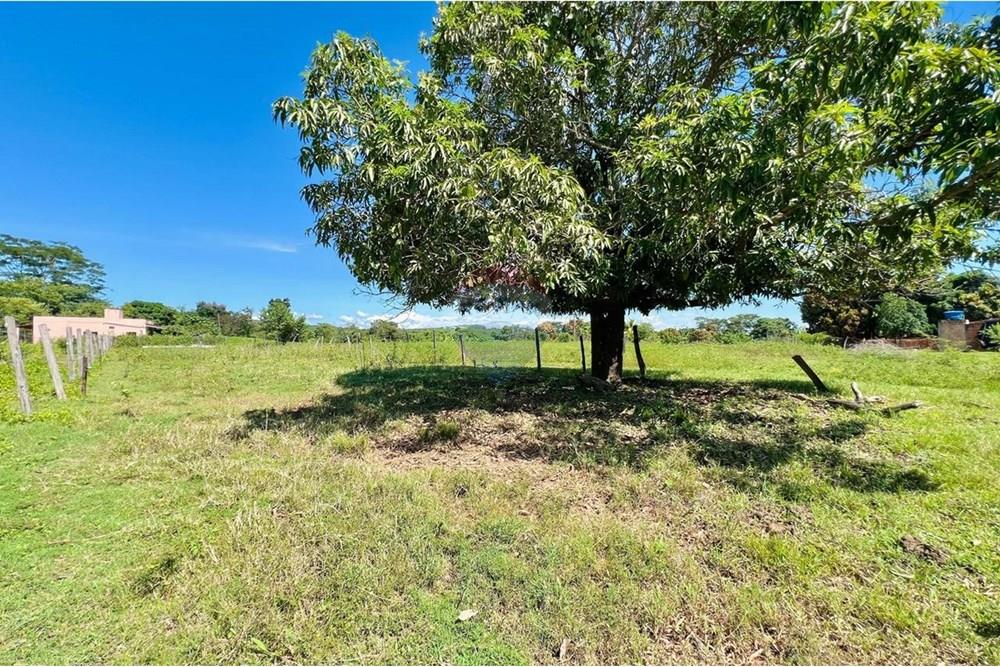 Terreno - Venda - Barreiras , Bahia - WhatsApp Image 2025-05-19 at 17.08.41.jpeg - 580651065-31