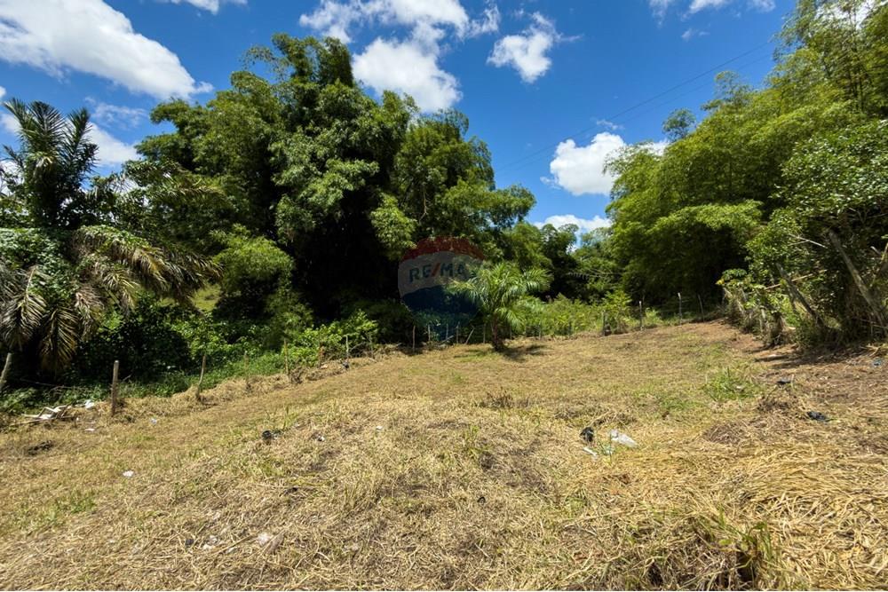 Terreno - Venda - Santo Antônio de Jesus , Bahia - IMG_0448.jpg - 580341046-28