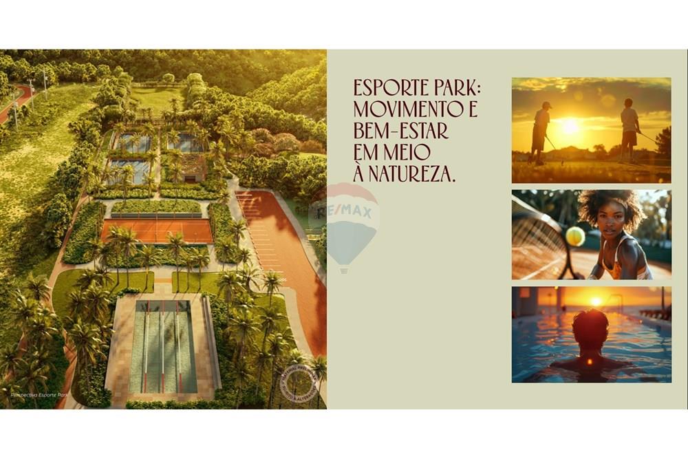 Terreno - Venda - Arraial , Bahia - WhatsApp Image 2026-02-25 at 12.09.18.jpeg - 580581012-112