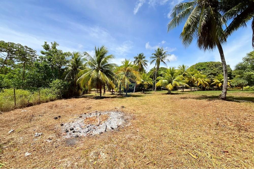 Terreno - Venda - Camaçari , Bahia - IMG_4763.jpg - 580491001-74