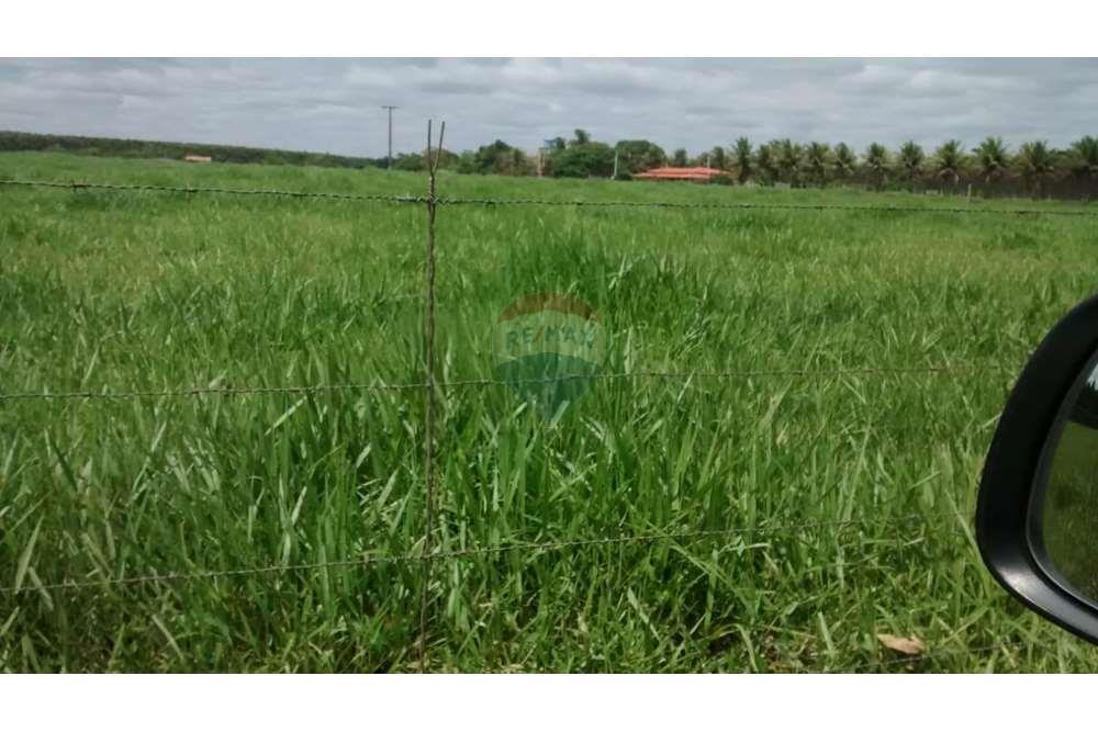 Chácara / Sítio / Fazenda - Venda - Teixeira de Freitas , Bahia - WhatsApp Image 2024-05-13 at 16.09.16.jpeg - 580411003-292