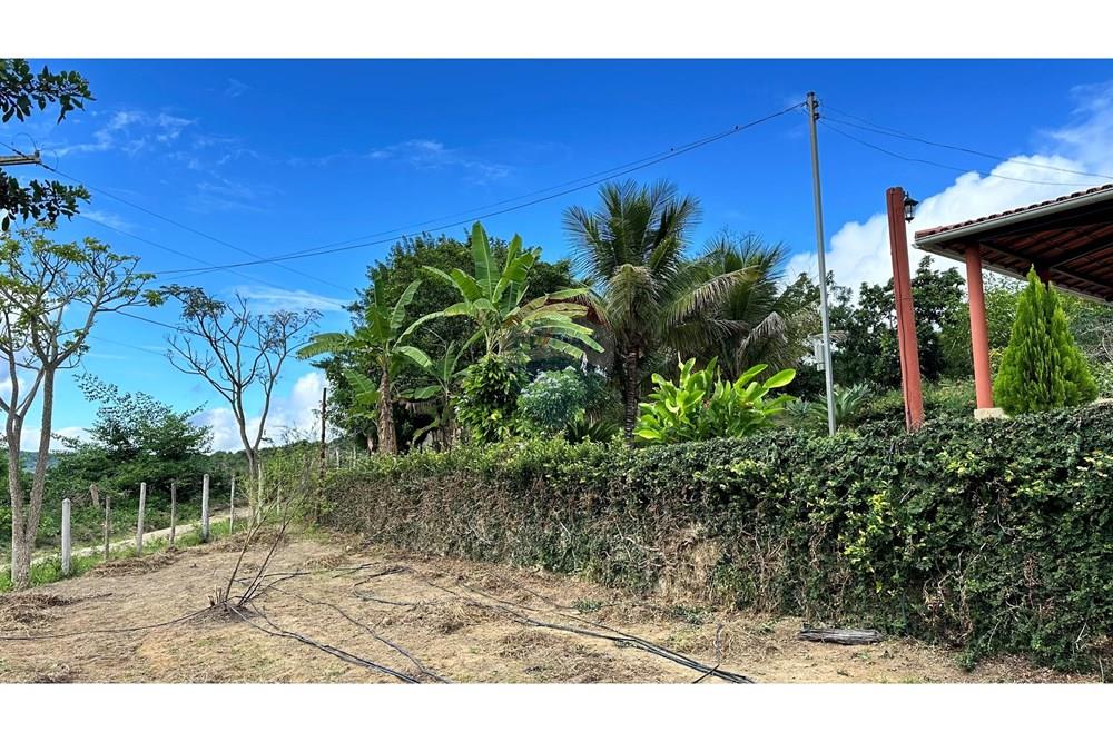 Chácara / Sítio / Fazenda - Venda - Jequié , Bahia - image00024-2.jpeg - 580731023-59