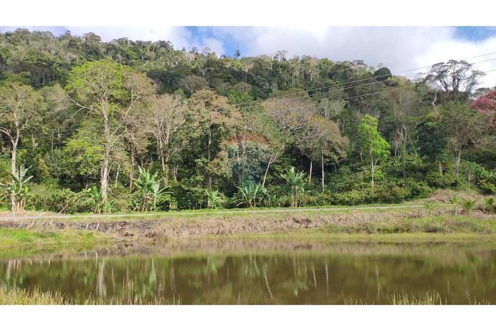 Chácara / Sítio / Fazenda - Venda - Jequié , Bahia - 22.jpg - 580731023-74