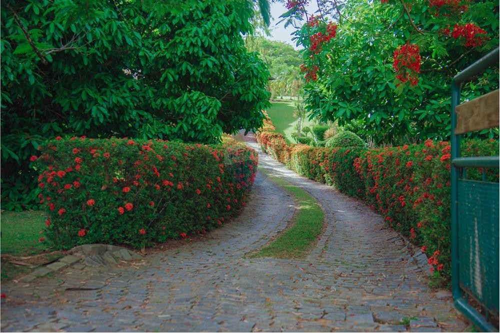 Casa - Venda - Lauro de Freitas , Bahia - DSC_6758.jpg - 580541079-16