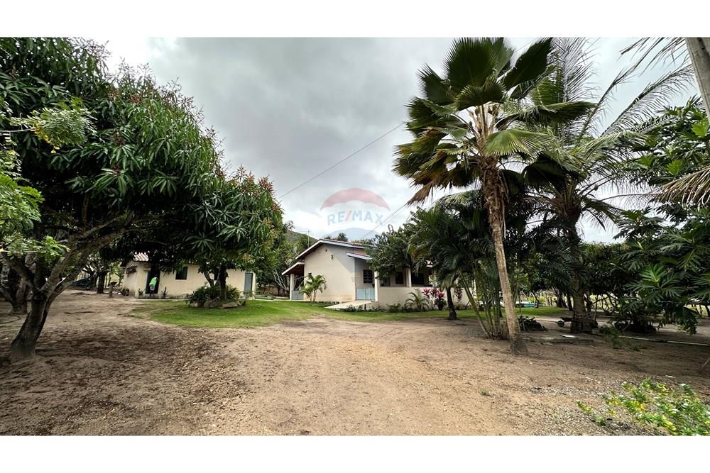 Chácara / Sítio / Fazenda - Venda - Jequié , Bahia - image00013.jpeg - 580731023-51