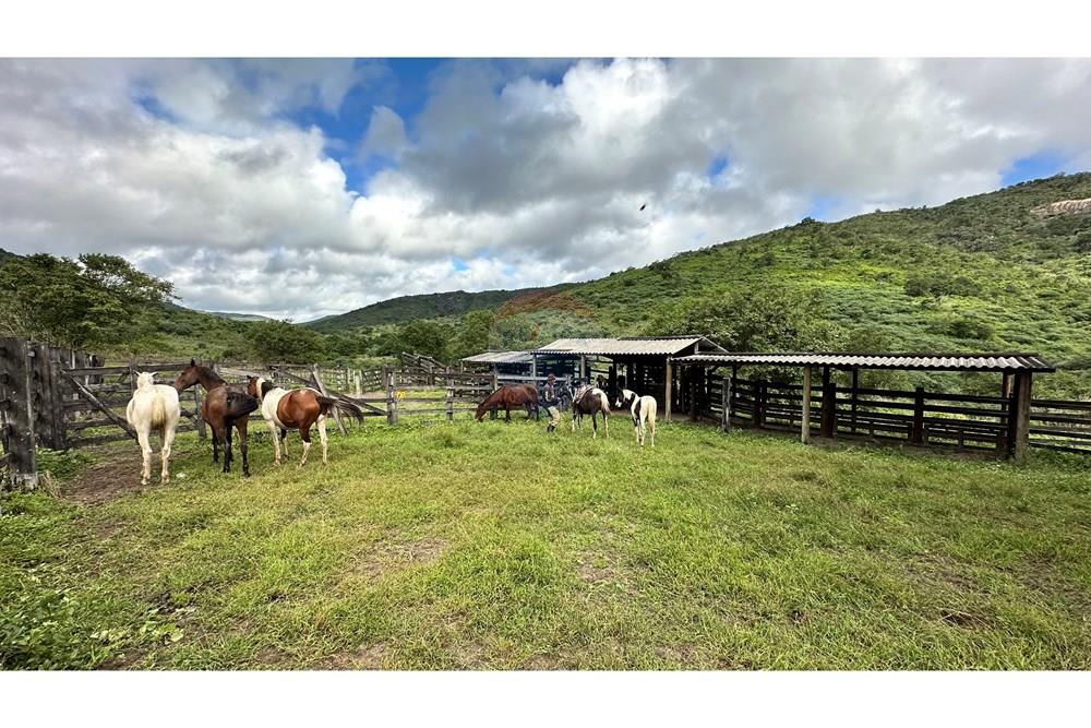 Chácara / Sítio / Fazenda - Venda - Jequié , Bahia - image00010.jpeg - 580731023-47
