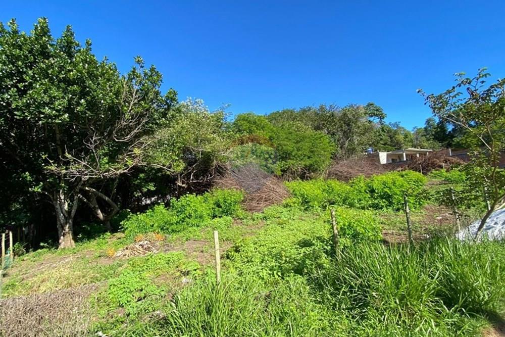 Terreno - Venda - Mata de São João , Bahia - ae0ec568-3ad1-4d62-b379-0e598a9e3cc8.jpg - 580601014-63