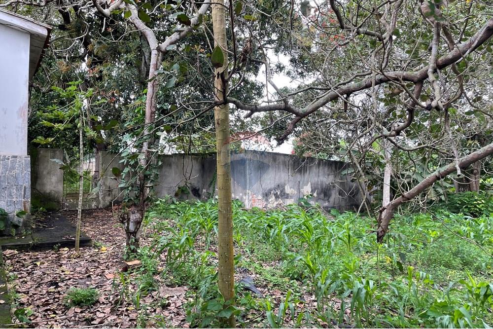 Terreno - Venda - Alagoinhas , Bahia - IMG_8943.jpeg - 580701044-52