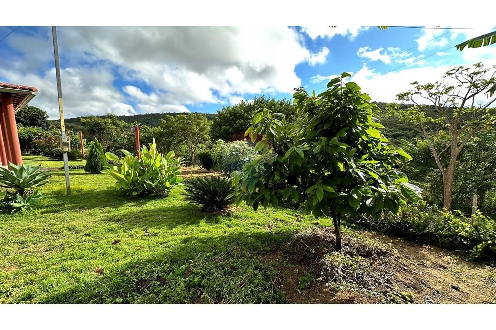 Chácara / Sítio / Fazenda - Venda - Jequié , Bahia - image00023-2.jpeg - 580731023-59