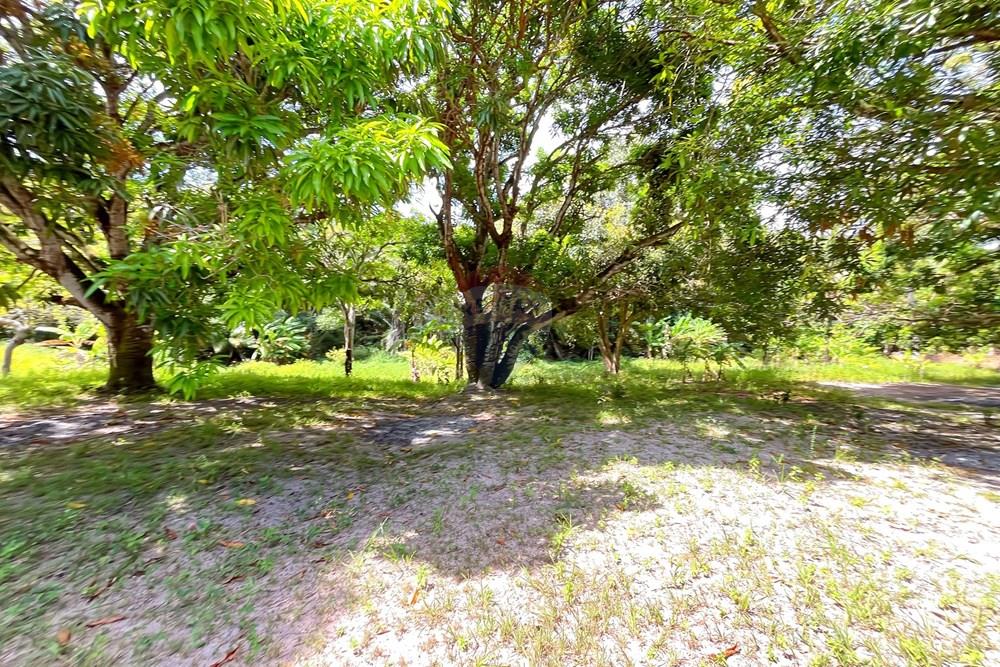 Terreno - Venda - Camaçari , Bahia - IMG_4620.jpg - 580491001-75