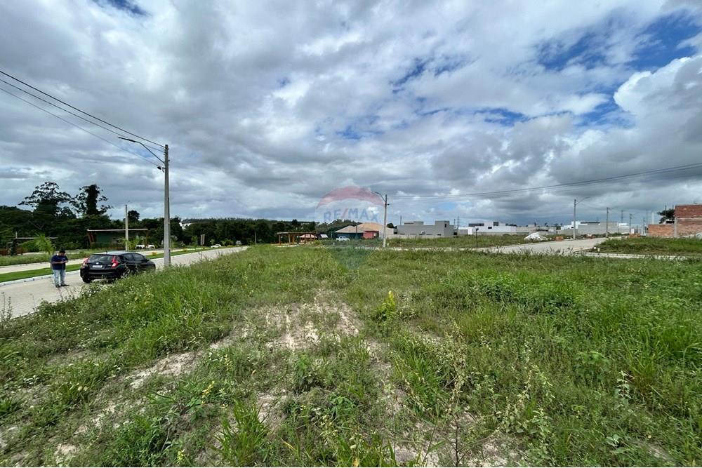 Terreno - Venda - Teixeira de Freitas , Bahia - WhatsApp Image 2025-04-23 at 08.38.09 (1).jpeg - 580411003-270