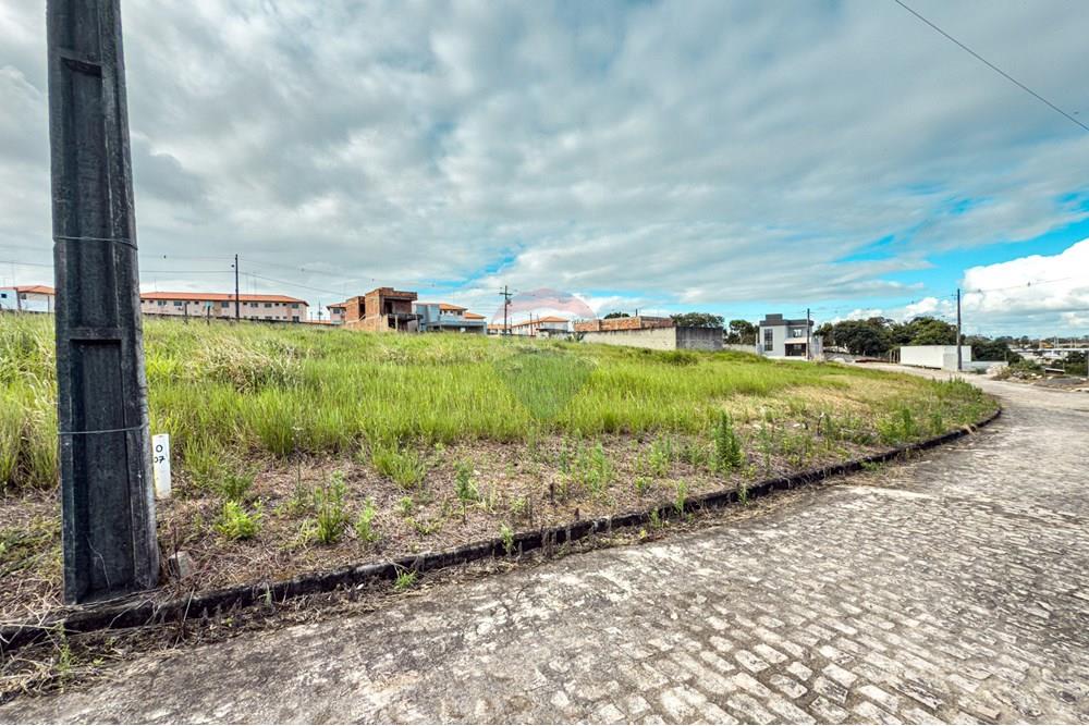 Terreno - Venda - Santo Antônio de Jesus , Bahia - IMG_8583.jpg - 580341053-18