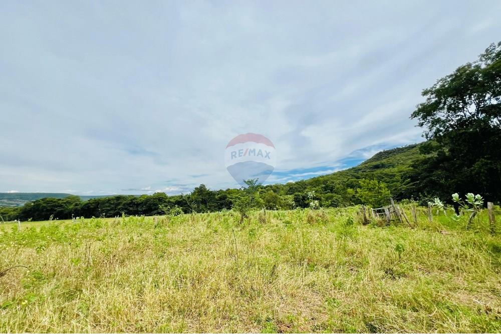 Chácara / Sítio / Fazenda - Venda - Barreiras , Bahia - WhatsApp Image 2025-03-11 at 17.53.45.jpeg - 580651065-24