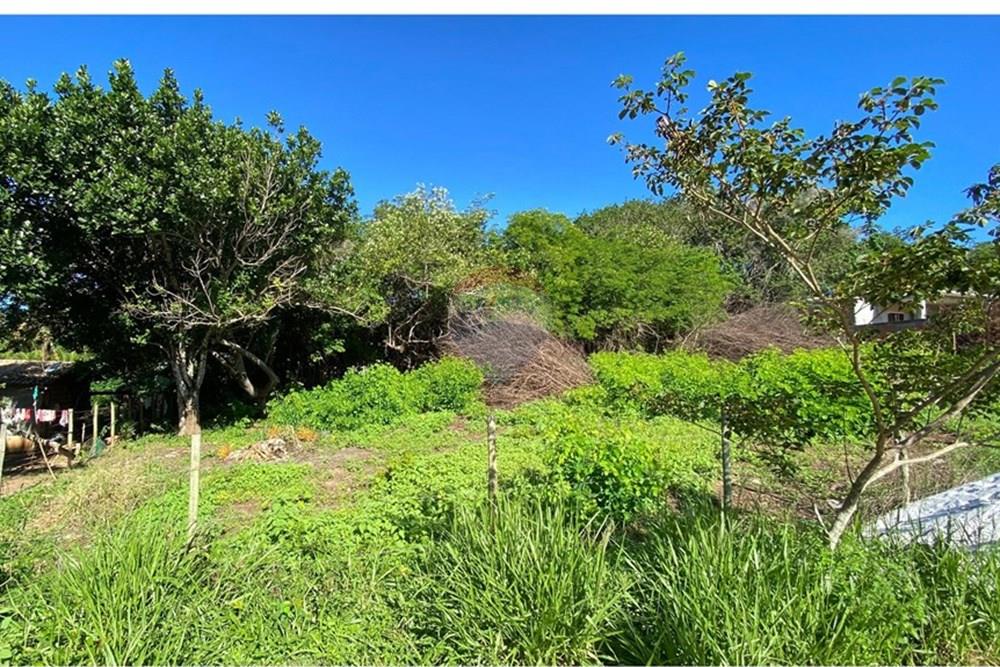 Terreno - Venda - Mata de São João , Bahia - 04afc107-82b9-4c48-be46-d9b24ec5de8f.jpg - 580601014-63