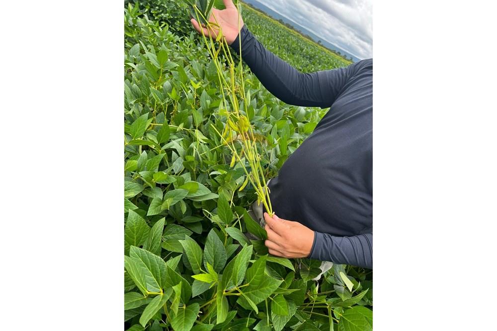 Fazenda - Venda - Aroazes , Piauí - Imagem do WhatsApp de 2025-09-30 à(s) 12.22.19_b1c62287.jpg - 580791016-19