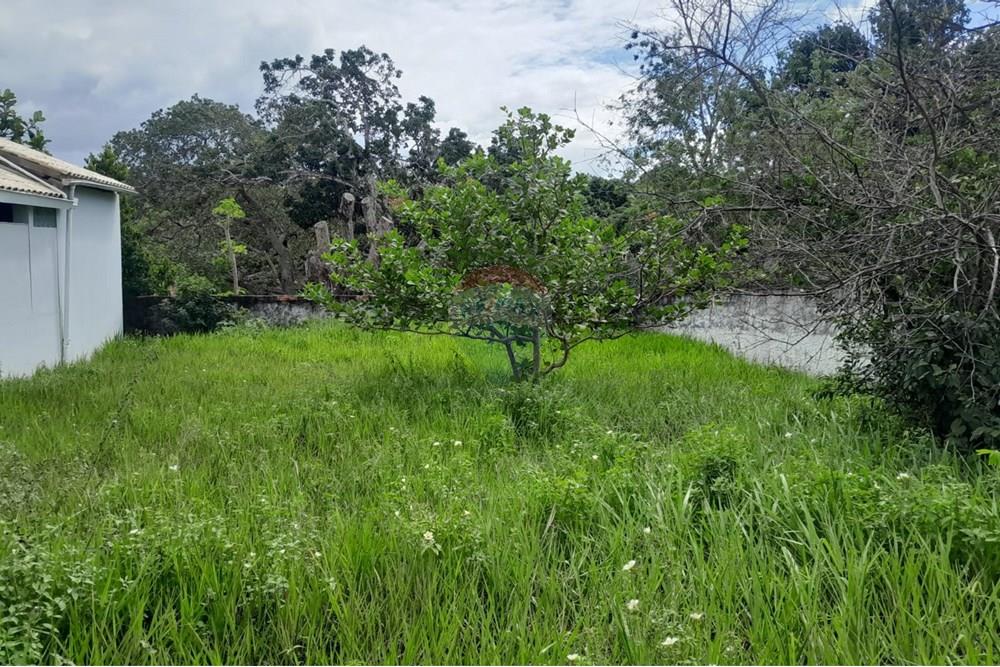 Terreno - Venda - Camaçari , Bahia - 4jacuipe.jpeg - 580541020-54