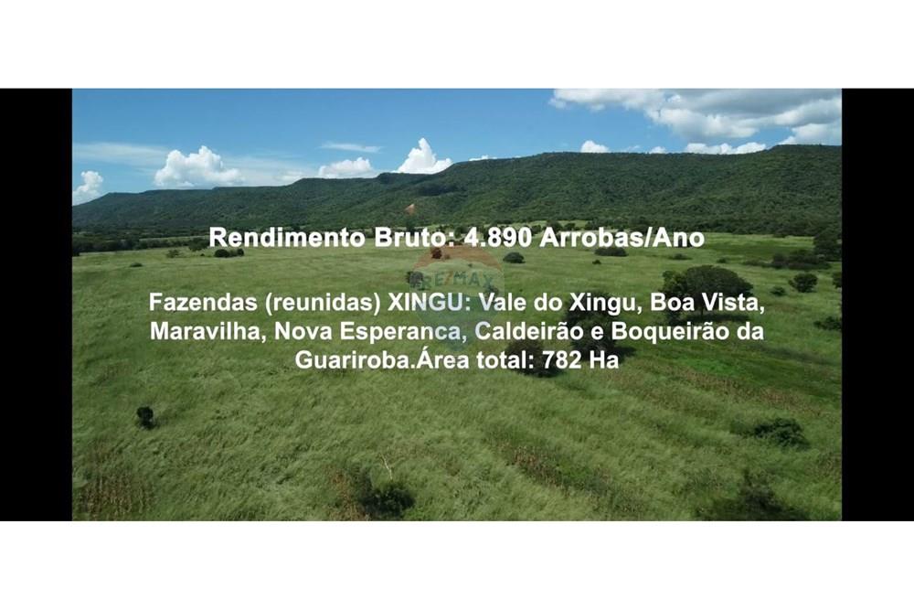 Fazenda - Venda - Wanderley , Bahia - WhatsApp Image 2026-03-24 at 17.30.00.jpeg - 580791016-28