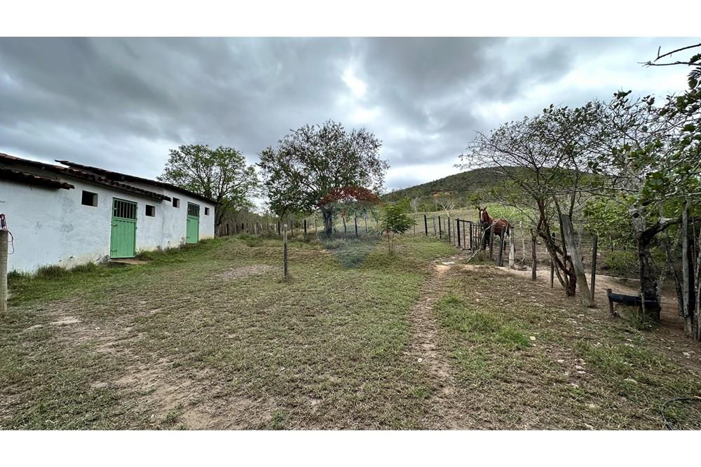 Chácara / Sítio / Fazenda - Venda - Jequié , Bahia - image00035.jpeg - 580731023-51