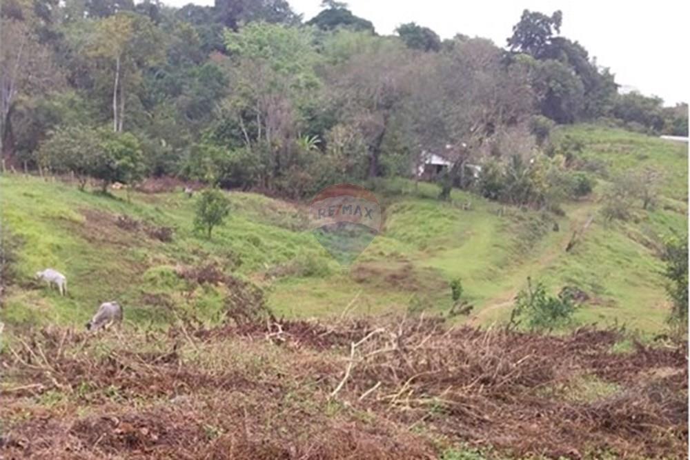 Chácara / Sítio / Fazenda - Venda - Ilhéus , Bahia - WhatsApp Image 2025-08-03 at 12.45.07 (2).jpeg - 580831002-188