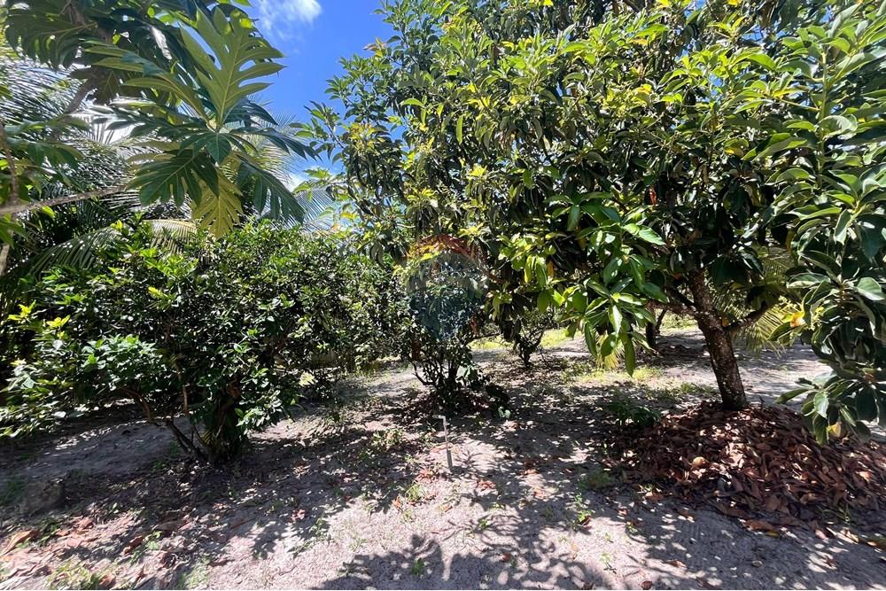 Chácara / Sítio / Fazenda - Venda - Camaçari , Bahia - WhatsApp Image 2025-11-18 at 17.19.36 (2).jpeg - 580491009-102