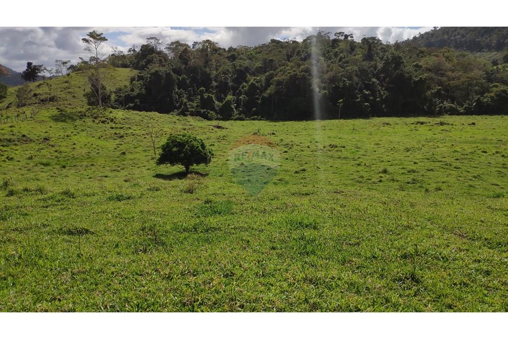 Chácara / Sítio / Fazenda - Venda - Jequié , Bahia - 28.jpg - 580731023-74