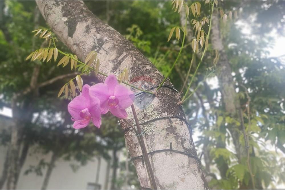 Casa de Condomínio - Venda - Camaçari , Bahia - WhatsApp Image 2024-12-10 at 15.05.13.jpeg - 580561053-63