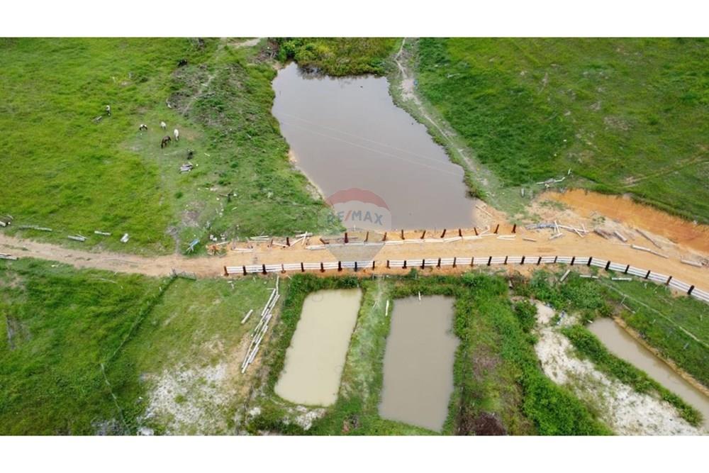 Chácara / Sítio / Fazenda - Venda - Itamaraju , Bahia - WhatsApp Image 2025-02-23 at 10.01.57.jpeg - 580751001-262