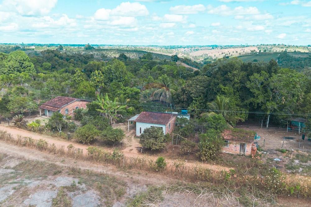 Chácara / Sítio / Fazenda - Venda - Santo Antônio de Jesus , Bahia - DJI_0778.jpg - 580341054-35