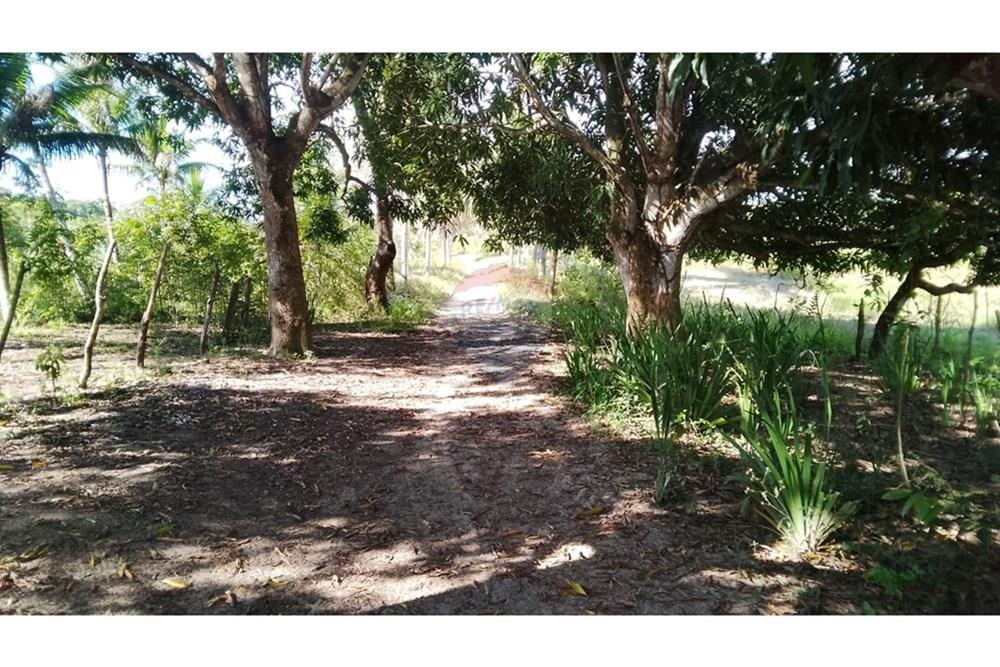 Chácara / Sítio / Fazenda - Venda - Alagoinhas , Bahia - WhatsApp Image 2025-11-09 at 19.23.32.jpeg - 580701044-55