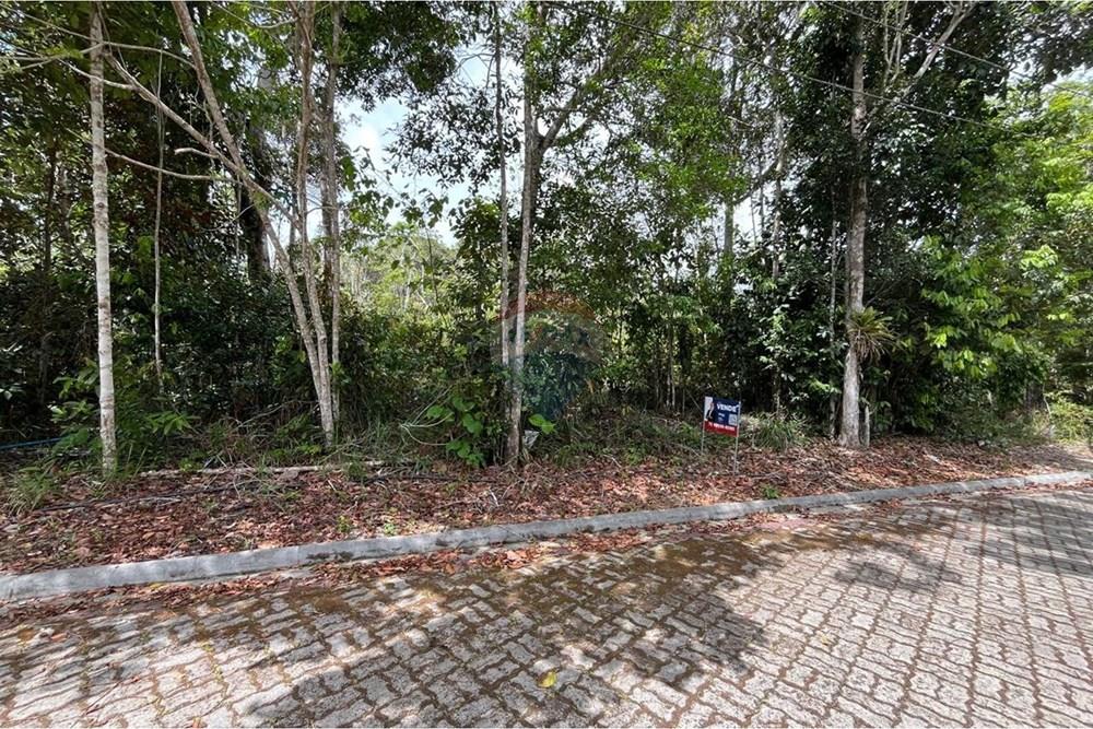 Terreno - Venda - Porto Seguro , Bahia - WhatsApp Image 2026-01-10 at 18.25.01.jpeg - 580581012-107