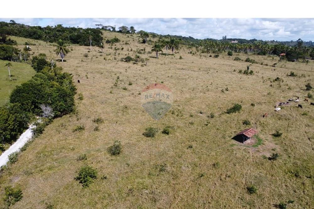 Chácara / Sítio / Fazenda - Venda - Porto Seguro , Bahia - DJI_0604.JPG - 580531040-12
