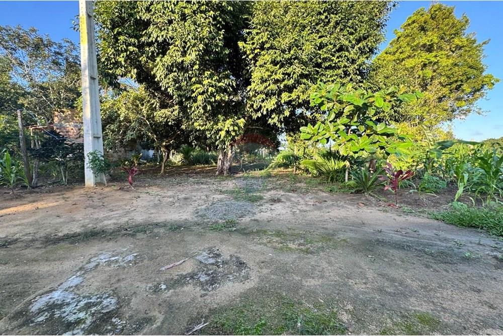 Terreno à venda - Foto 3