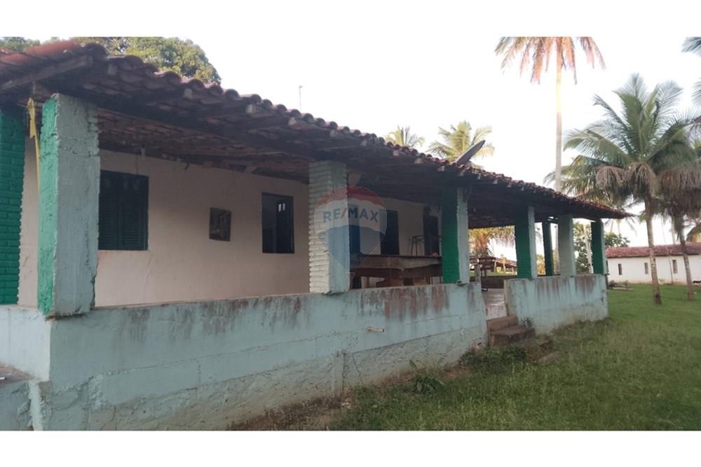 Chácara / Sítio / Fazenda - Venda - Alagoinhas , Bahia - WhatsApp Image 2025-11-09 at 19.24.48 (1).jpeg - 580701044-55