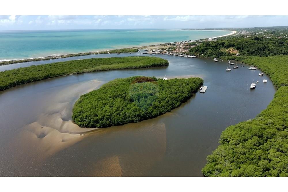 Agro - Venda - Santa Cruz Cabrália , Bahia - IMG-20250309-WA0020.jpg - 580581034-56