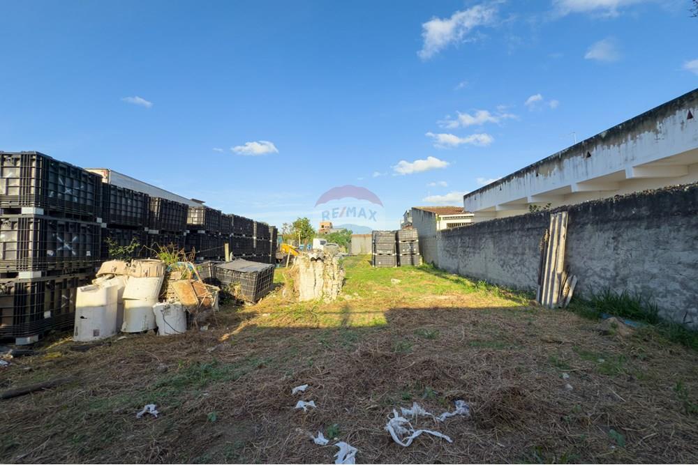 Terreno - Venda - Santo Antônio de Jesus , Bahia - IMG_3330.jpg - 580341018-146