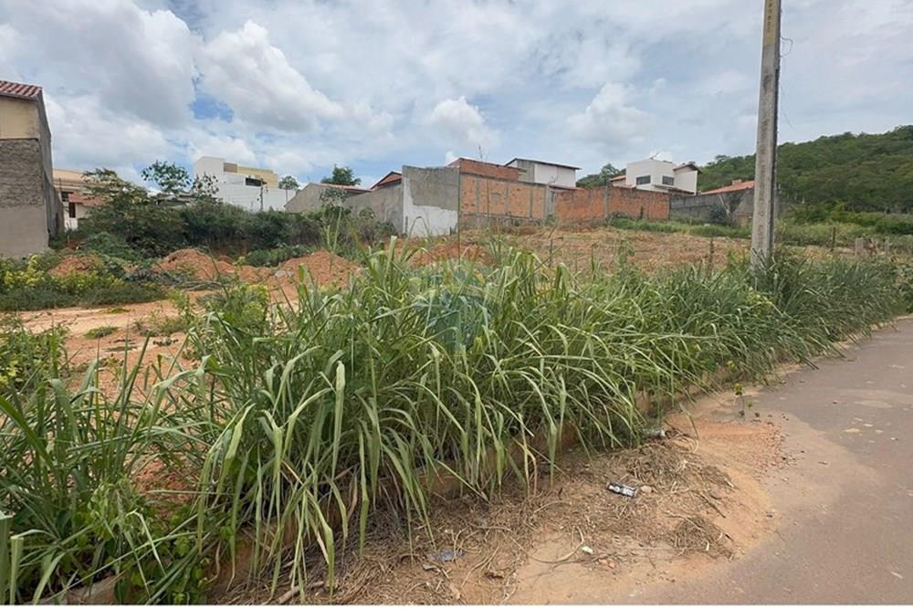 Residential - Κτήμα - Barreiras , Μπαχία - BR - WhatsApp Image 2025-01-22 at 11.04.12.jpeg - 580651042-56