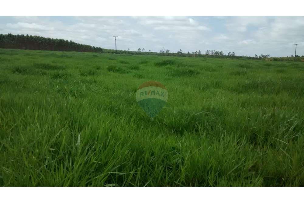 Chácara / Sítio / Fazenda - Venda - Teixeira de Freitas , Bahia - WhatsApp Image 2024-05-13 at 16.09.14 (1).jpeg - 580411003-292