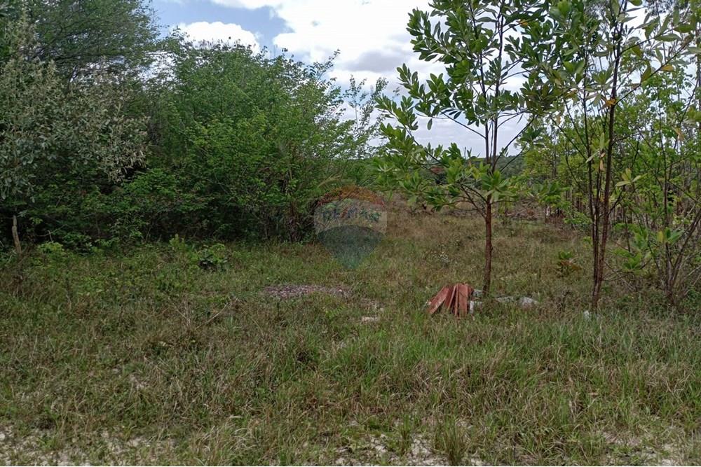 Terreno - Venda - Alagoinhas , Bahia - WhatsApp Image 2025-01-15 at 17.53.11.jpeg - 580701006-42