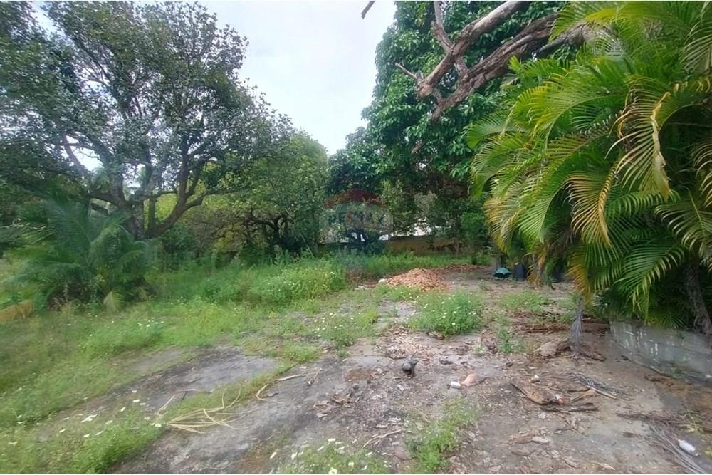 Terreno - Venda - Camaçari , Bahia - WhatsApp Image 2025-10-28 at 14.54.21.jpeg - 580561053-77