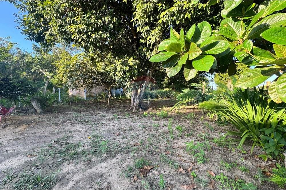 Terreno à venda - Foto 4