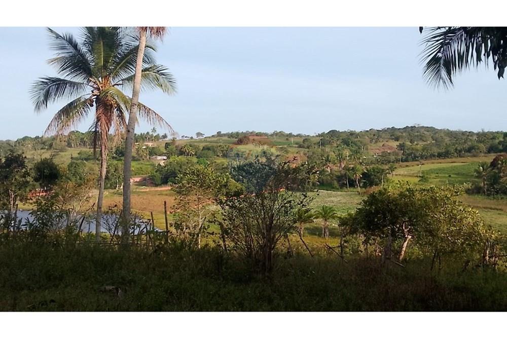 Chácara / Sítio / Fazenda - Venda - Alagoinhas , Bahia - WhatsApp Image 2025-11-09 at 19.24.54.jpeg - 580701044-55